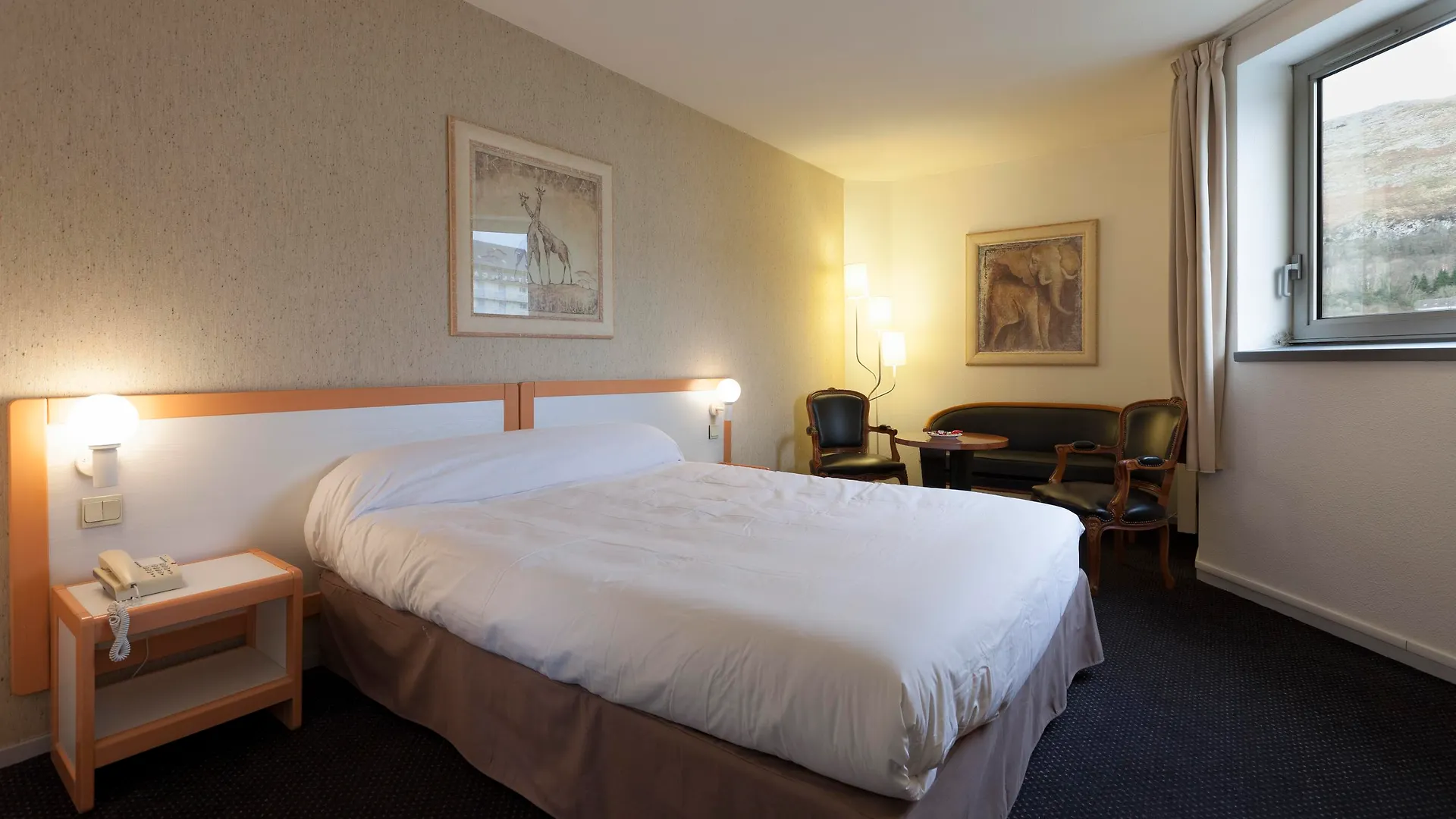Hotel Hôtel Paradis Lourdes